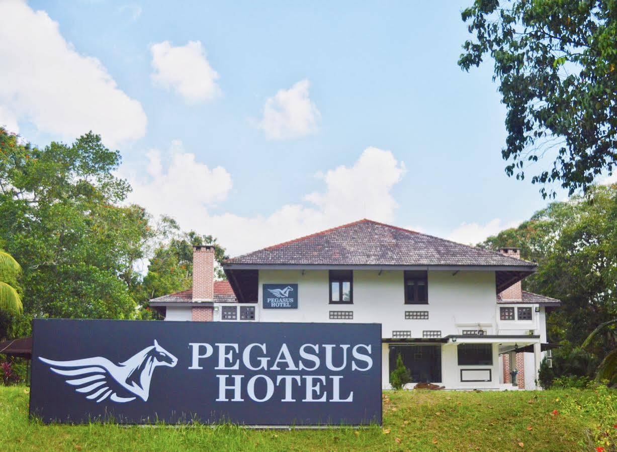 Oyo 104 Pegasus Hotel Singapore Eksteriør billede